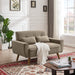 48.82" Small Tufted Loveseat Sofa with 2 Pillows and Tapered Wood Legs