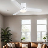 48" Lowe Profile Ceiling Fan with Light