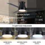 48" Lowe Profile Ceiling Fan with Light