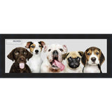 4x10 Contemporary Black Complete Wood Picture Frame with UV Acrylic, Foam Board Backing, & Hardware