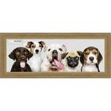 4x12 Traditional Antique Silver Complete Wood Picture Frame with UV Acrylic, Foam Board Backing, & Hardware