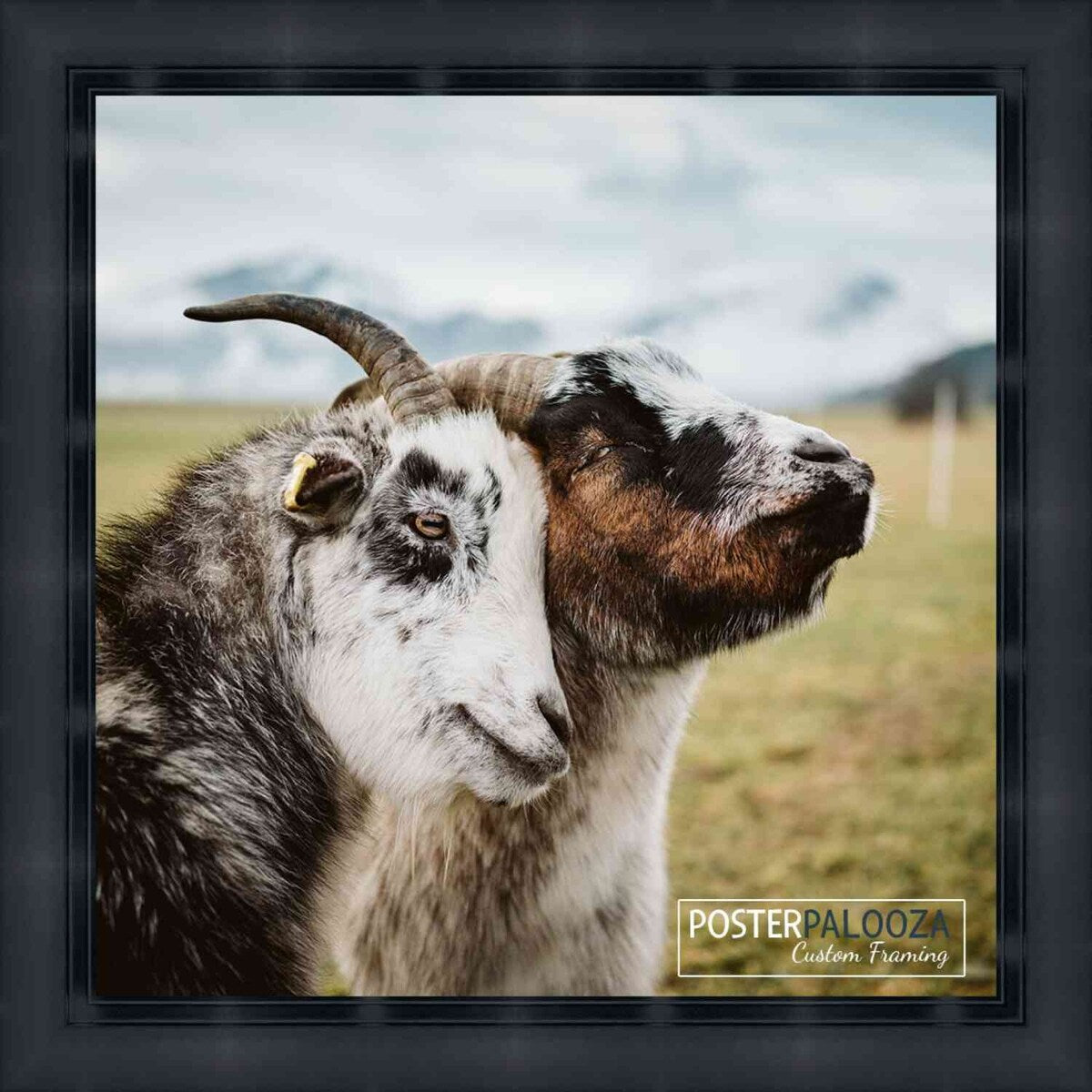 4x4 Contemporary Black Complete Wood Picture Frame with UV Acrylic, Foam Board Backing, & Hardware