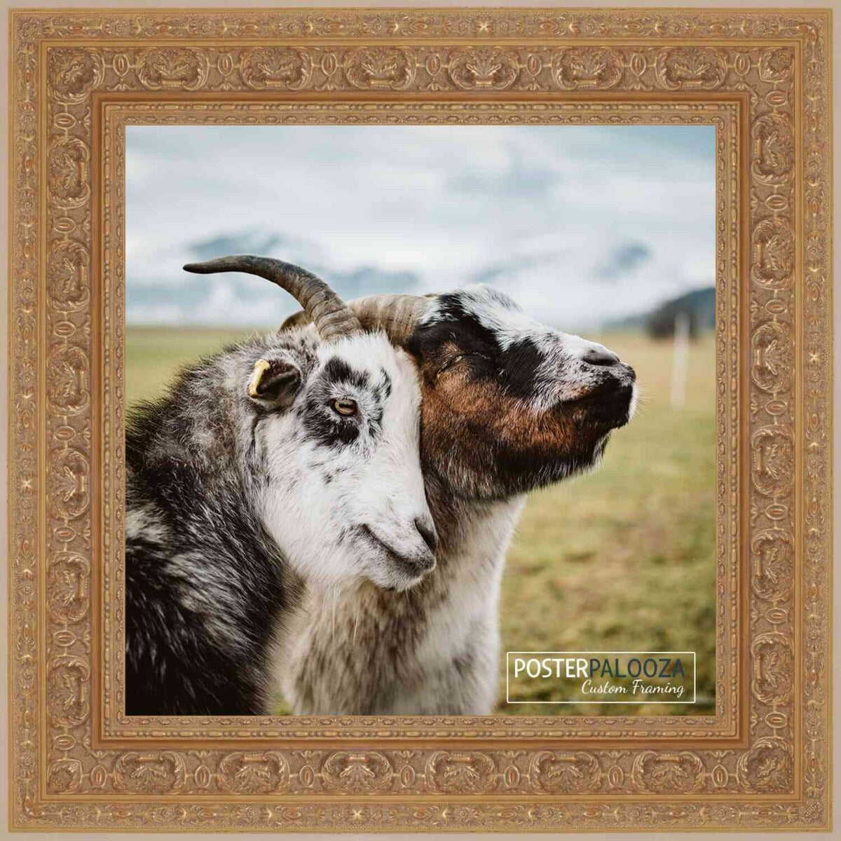 4x4 Ornate Gold Complete Wood Picture Frame with UV Acrylic, Foam Board Backing, & Hardware