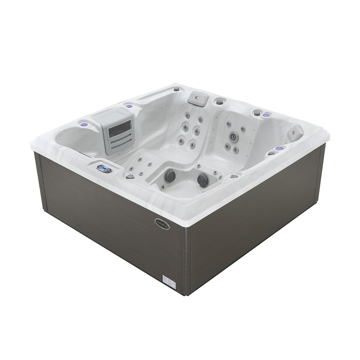 5-Person 54-Jet Premium Acrylic Lounger Spa Standard Hot Tub with two-step ladder and LED Waterfall