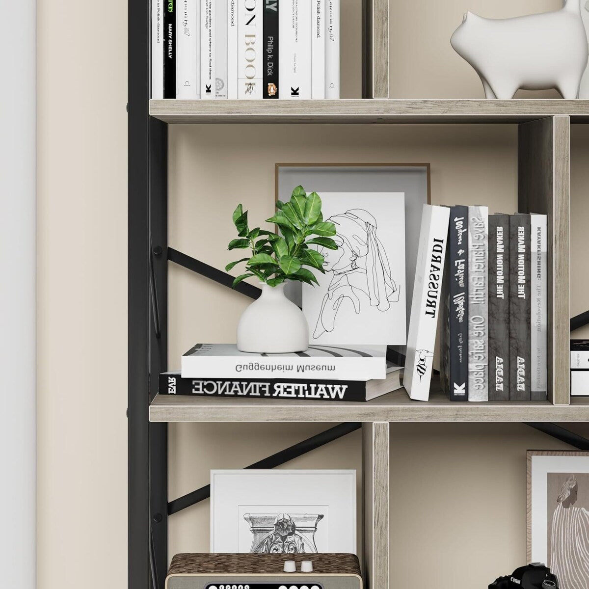 5 Tier Bookshelf with Storage,Book Shelf for Living Room