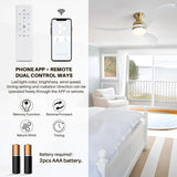 52 Inch Ceiling Fan with 3 Color Dimmable 3 Blades Remote Control