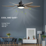 54 Inch Indoor Ceiling Fan