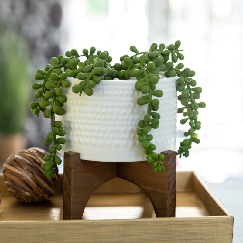 5" Hobnail Ceramic Planter on Wood Stand