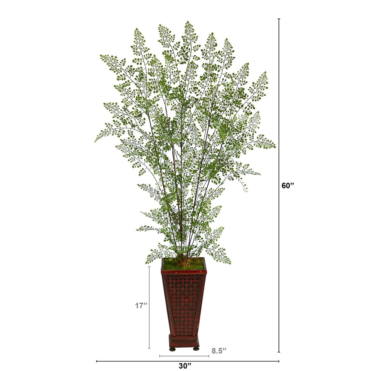 5' Ruffle Fern Artificial Tree in Decorative Planter - 17.5"