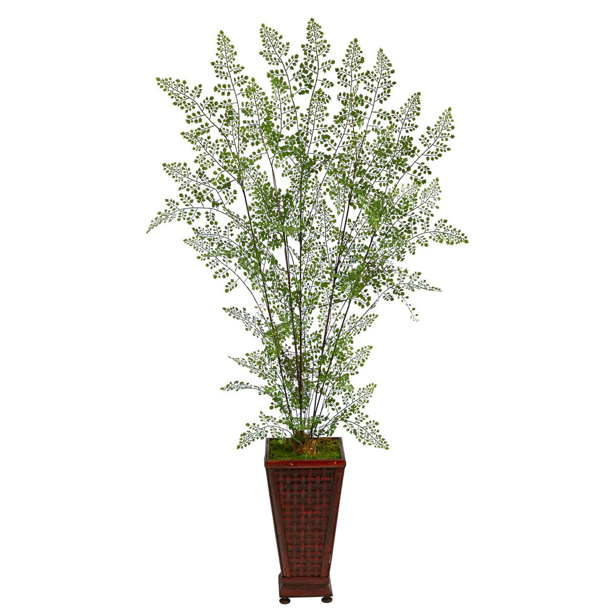5' Ruffle Fern Artificial Tree in Decorative Planter - 17.5"