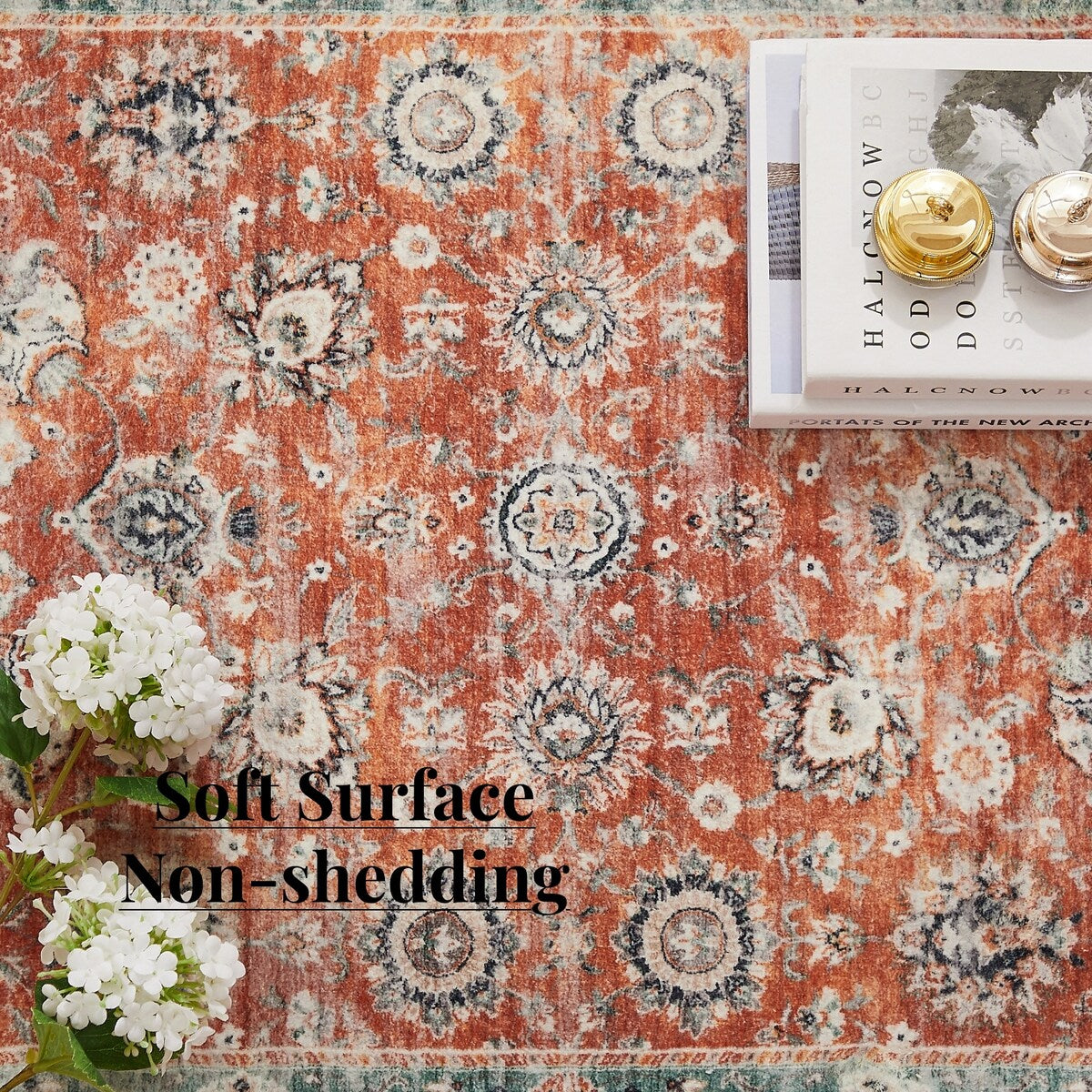 5'x7' Area Rug, Soft Washable Low-Pile Carpet Mat with Non-Slip Backing for Living Room and Bedroom
