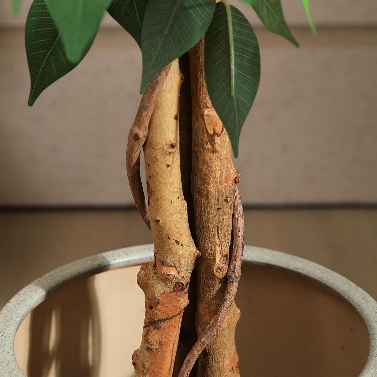 5ft Artificial Ficus Tree with Natural Wood Trunk