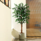 5ft Artificial Ficus Tree with Natural Wood Trunk