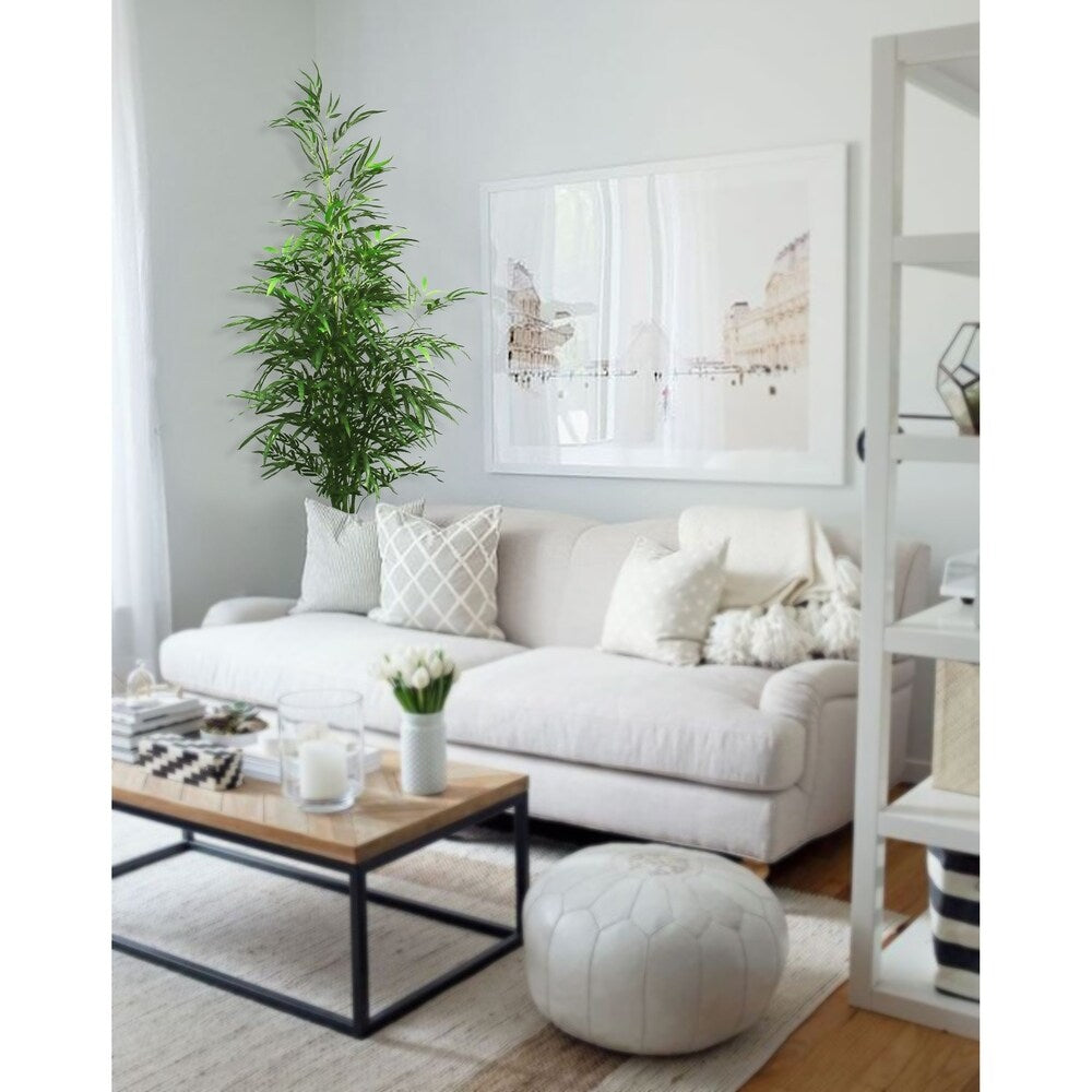 5ft Bamboo tree unpotted - Green