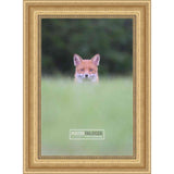 5x8 Traditional Gold Complete Wood Picture Frame with UV Acrylic, Foam Board Backing, & Hardware