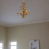 6 - Light Metal Chandelier with Adjustable Chain(No Bulb) - N/A