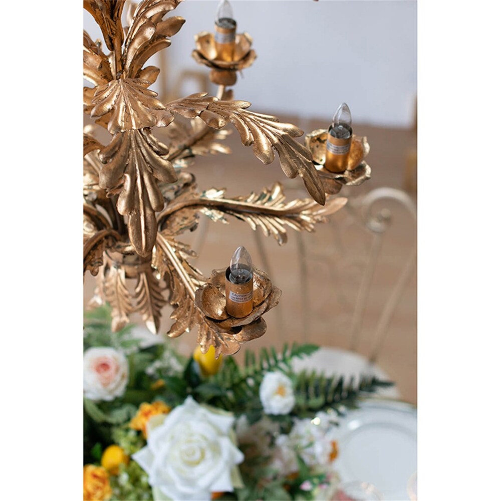 6 - Light Metal Chandelier with Adjustable Chain(No Bulb) - N/A