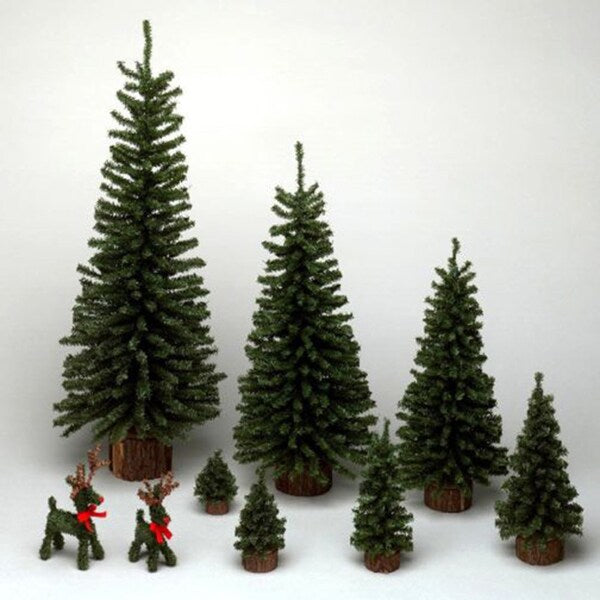 6" Mini Pine Tree with Wood Base
