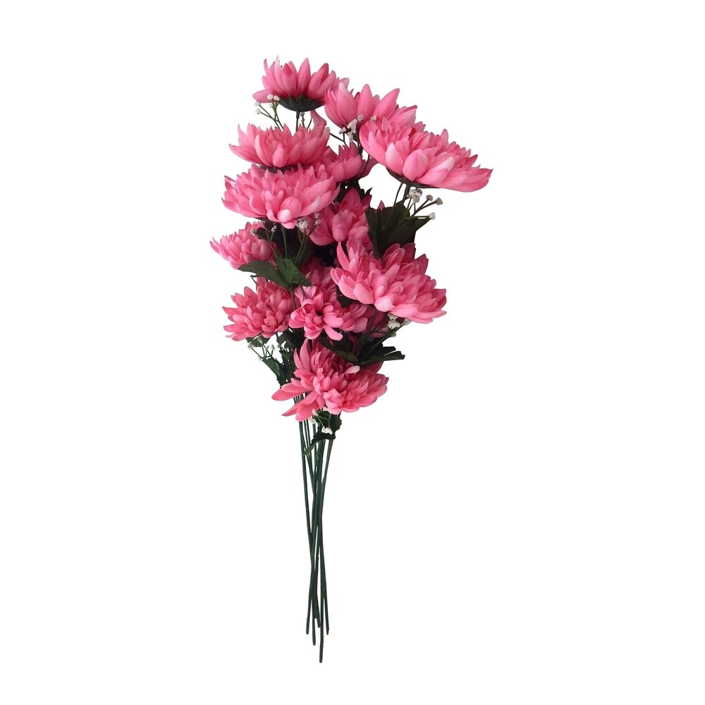 6 Mum bushes