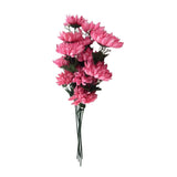 6 Mum bushes