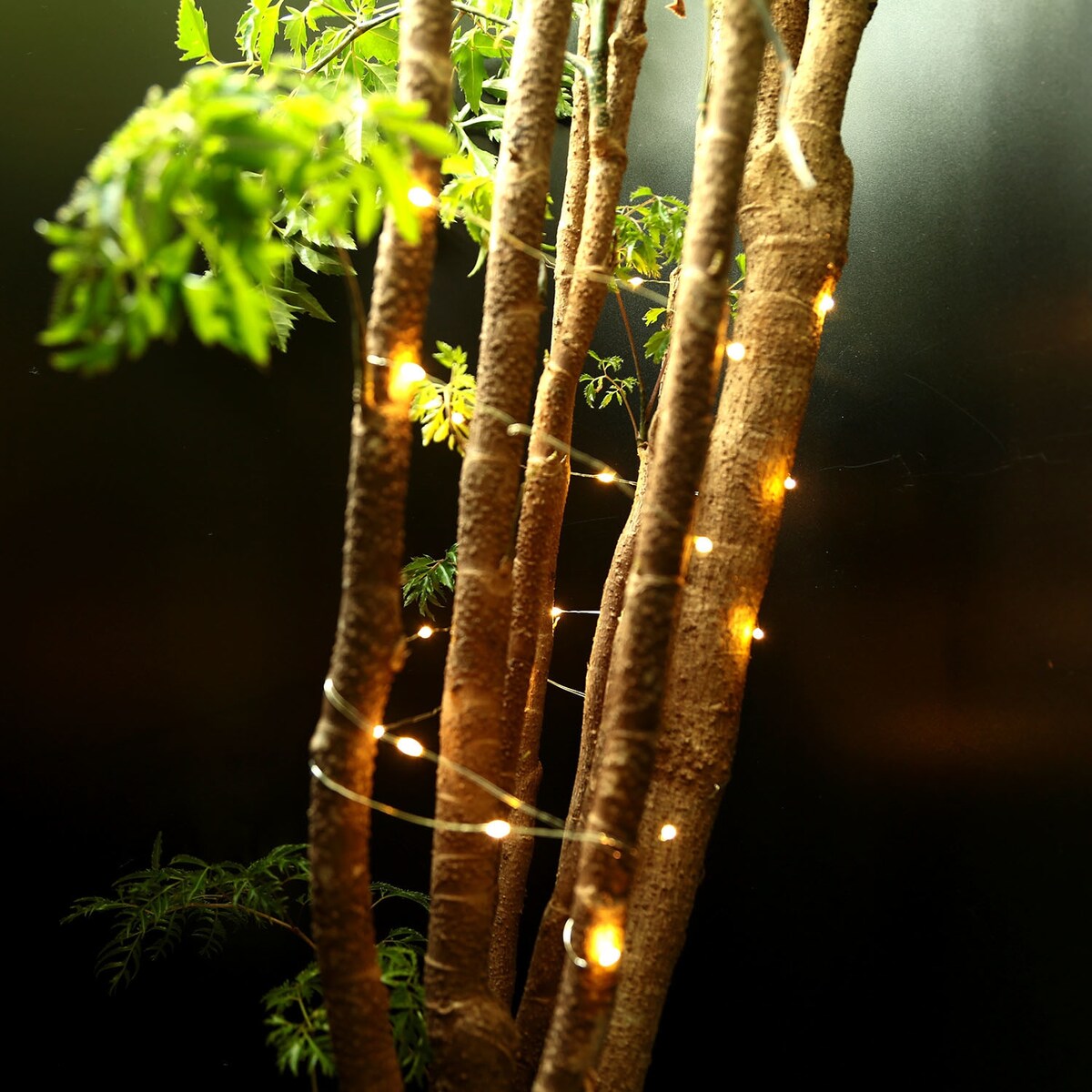 6-Pack LED String Lights 6.56ft 20 LEDs Battery Operated Starry Fairy Lights