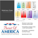 6" Twin XL Hospital Mattress with Spill Resistant Vinyl