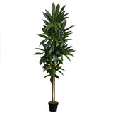 6-foot Dracaena Real Touch Silk Plant - Green
