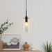 1-light Glass Pendant Light with Adjustable Cord, Semi Flush Mount Chandelier for Dining Room Living Room Bedroom