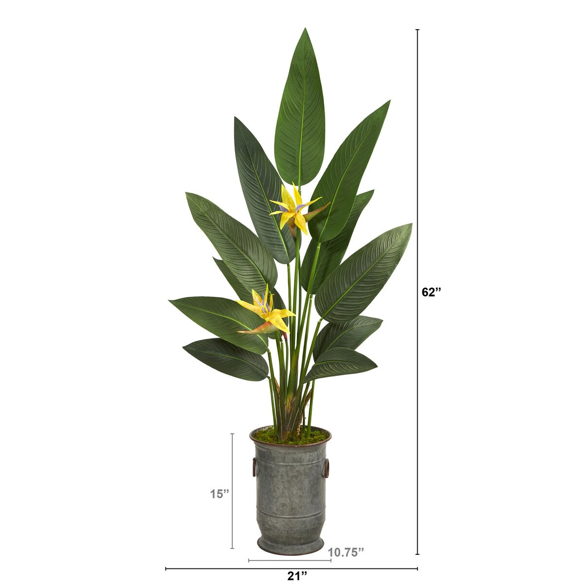 62" Bird of Paradise Plant in Vintage Metal Planter (Real Touch)