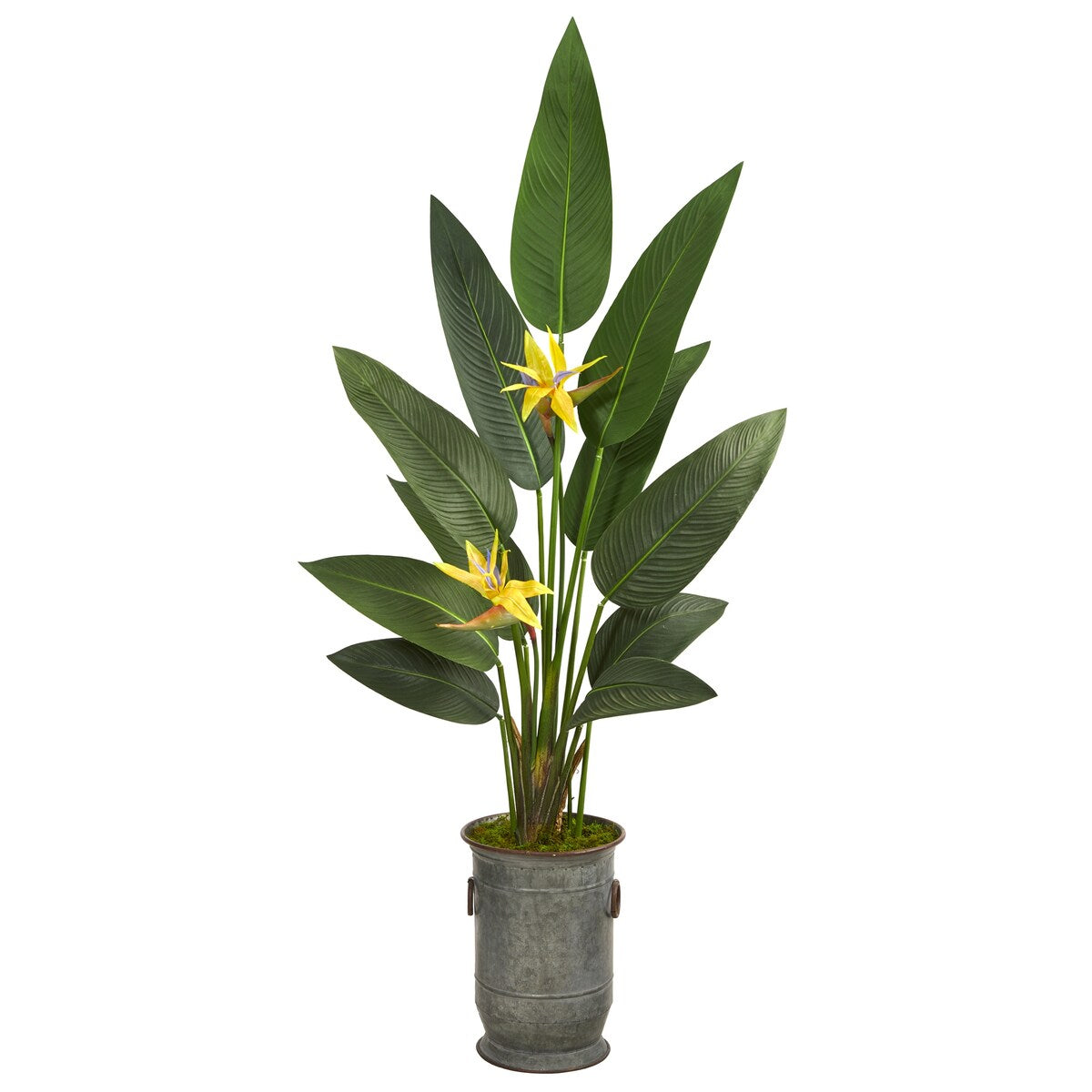 62" Bird of Paradise Plant in Vintage Metal Planter (Real Touch)