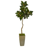 63" Magnolia Artificial Tree in Green Planter