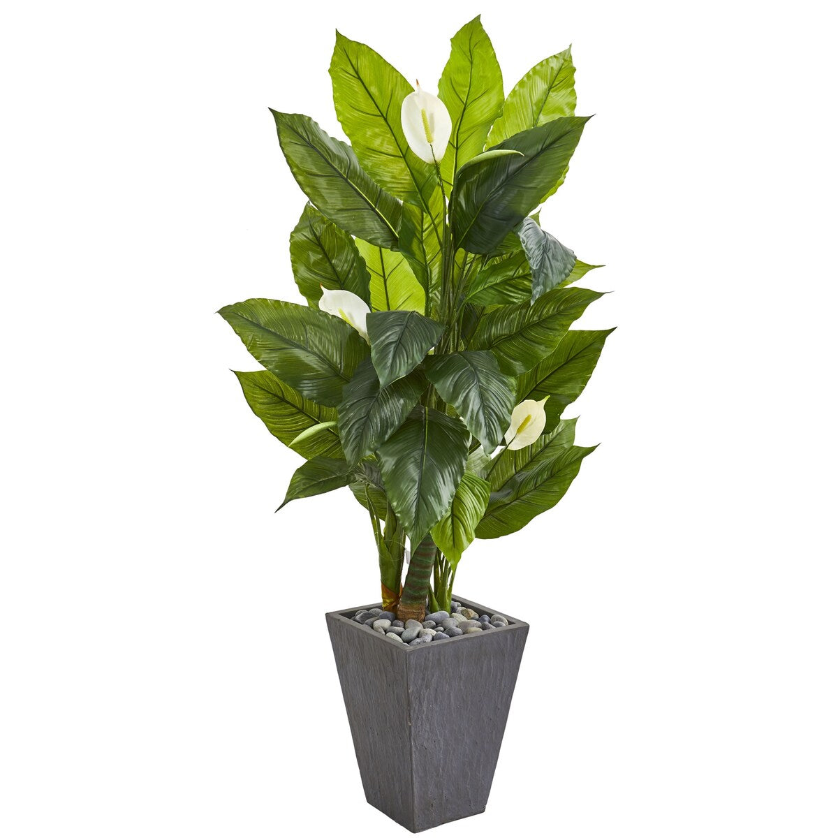 63" Spathyfillum Artificial Plant in Slate Planter (Real Touch) - 63