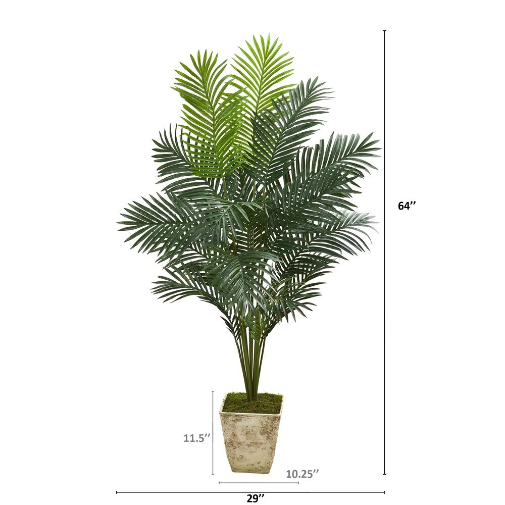 64" Paradise Palm Artificial Plant in Country White Planter