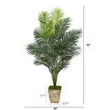 64" Paradise Palm Artificial Plant in Country White Planter