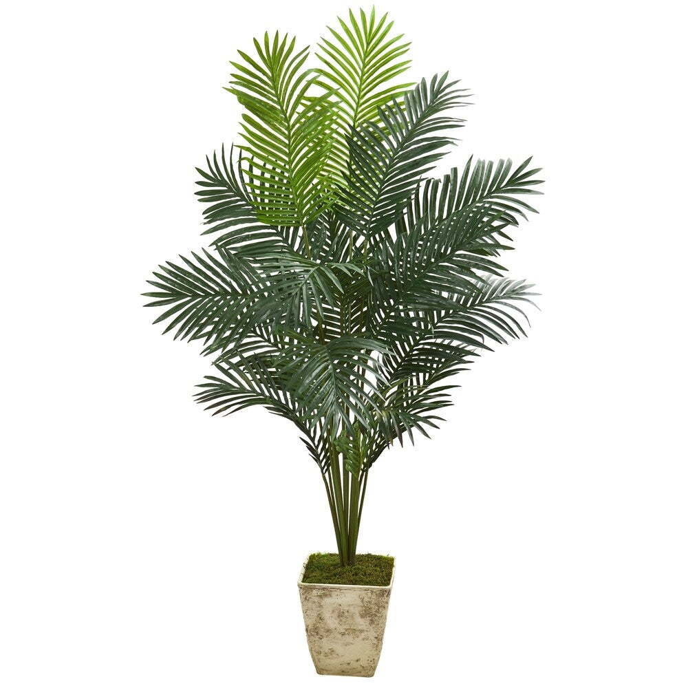 64" Paradise Palm Artificial Plant in Country White Planter