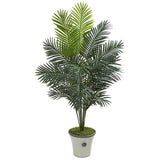65" Paradise Palm Artificial Plant in Decorative Planter