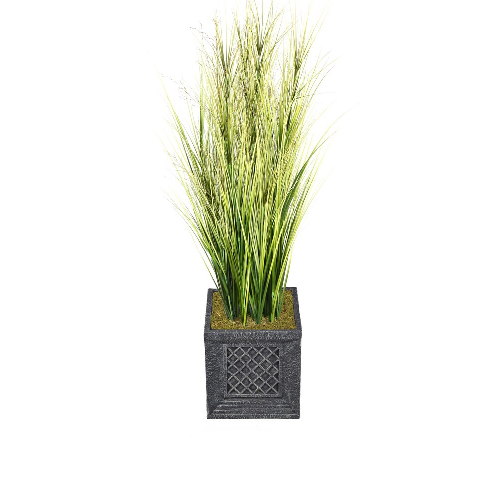 66-inch Tall Onion Grass with Twigs in Planter - OS