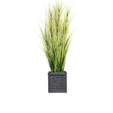66-inch Tall Onion Grass with Twigs in Planter - OS