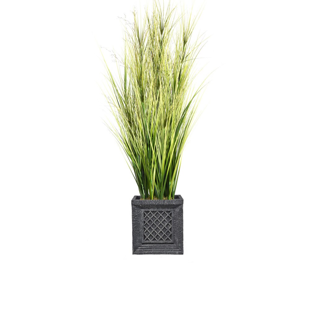 66-inch Tall Onion Grass with Twigs in Planter - OS