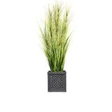 66-inch Tall Onion Grass with Twigs in Planter - OS