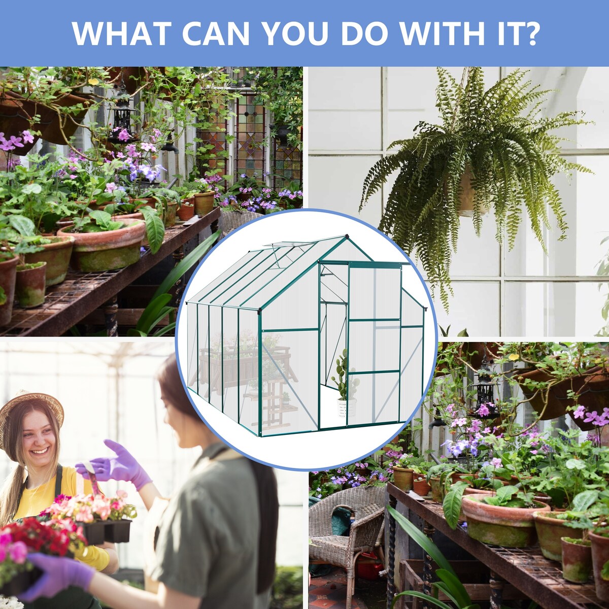 6X10FT Aluminum Heavy Duty Walk-in Greenhouses