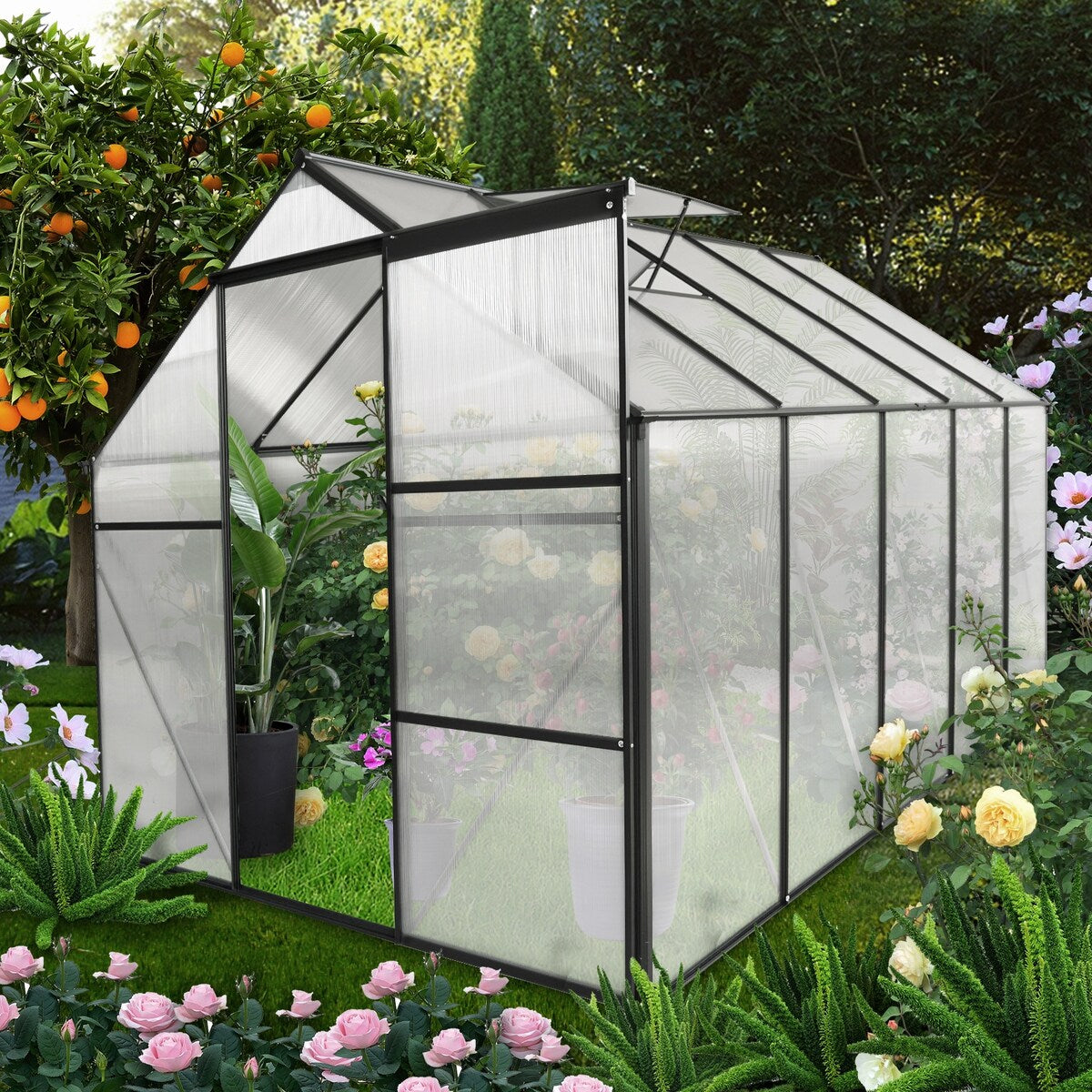 6X10FT Polycarbonate Greenhouse Raised Base and Anchor Aluminum Duty Walk-in Greenhouses for Outdoor Backyard in All Season