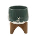 6" Ceramic Christmas Planter on Wood Stand