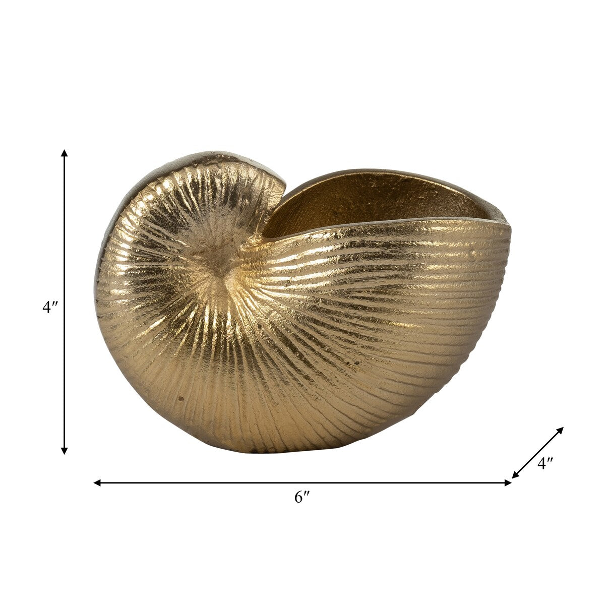 6" Metal Hollow Shell Vase Contemporary Decorative Champagne Gold Glam Coastal Ocean Beach Shell Vase for Home or