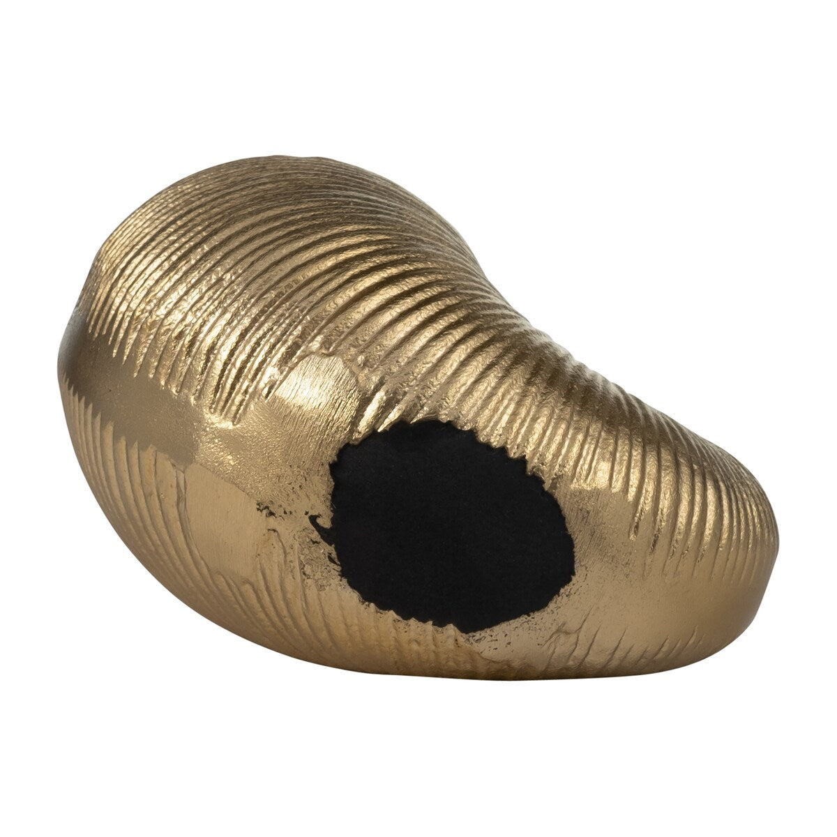 6" Metal Hollow Shell Vase Contemporary Decorative Champagne Gold Glam Coastal Ocean Beach Shell Vase for Home or