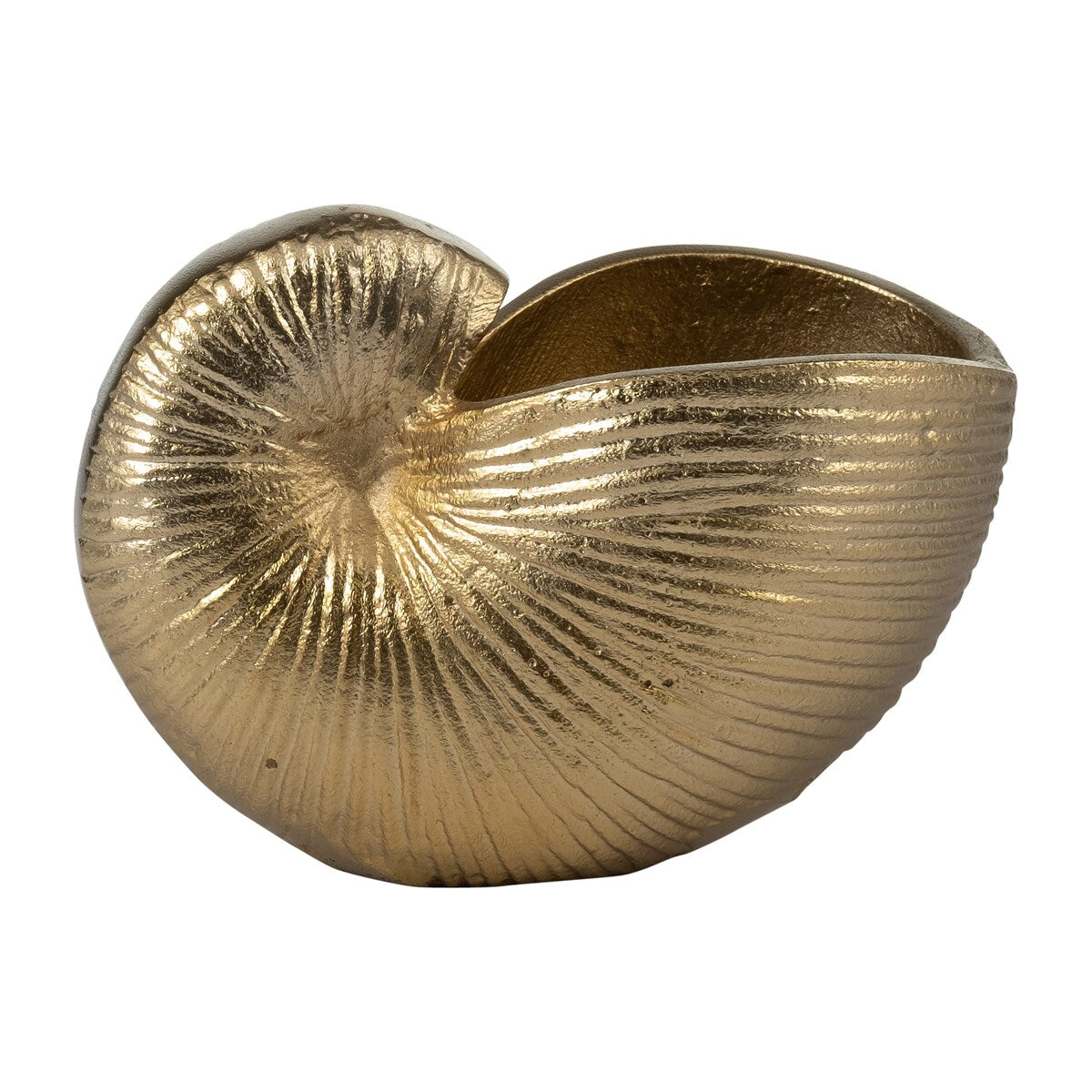 6" Metal Hollow Shell Vase Contemporary Decorative Champagne Gold Glam Coastal Ocean Beach Shell Vase for Home or