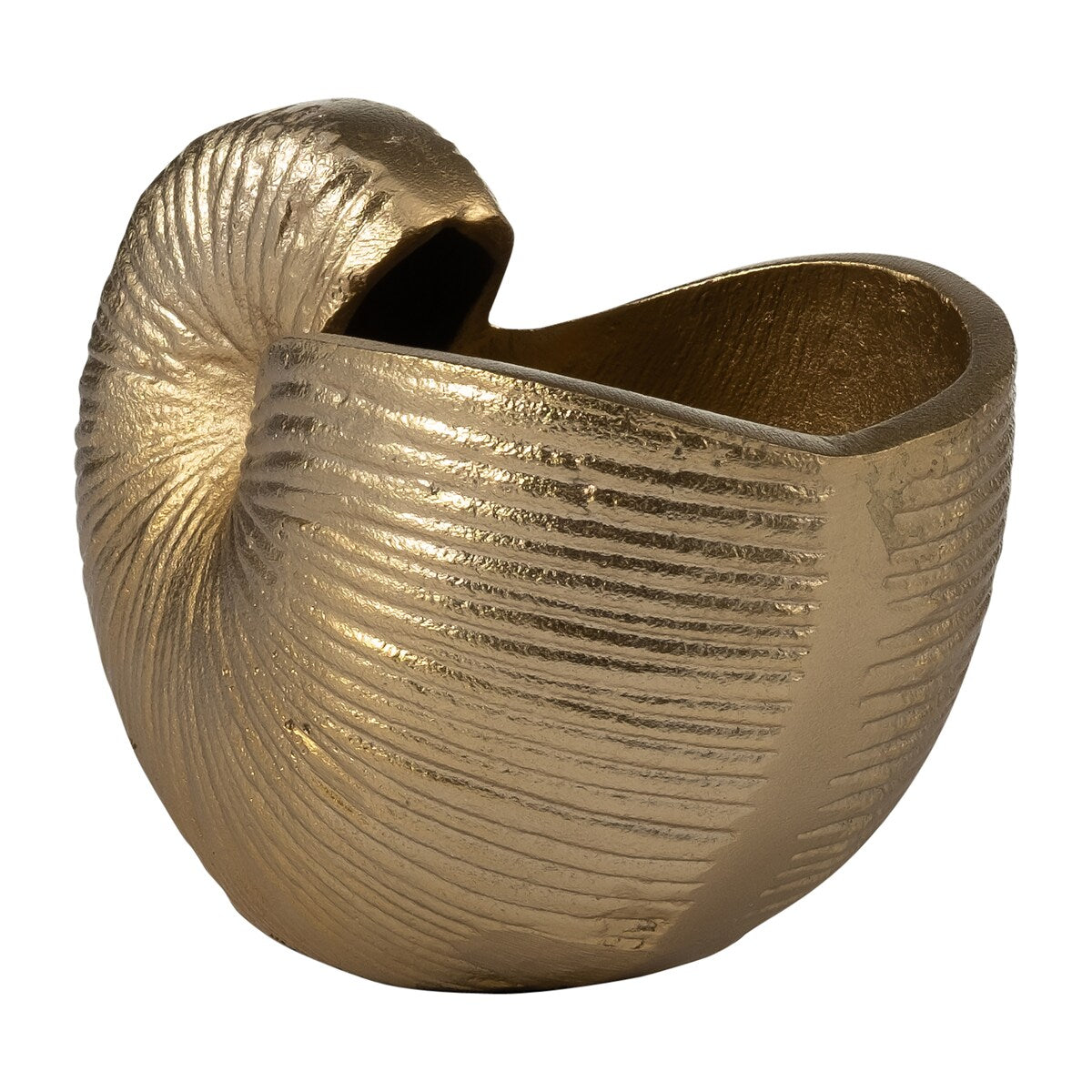 6" Metal Hollow Shell Vase Contemporary Decorative Champagne Gold Glam Coastal Ocean Beach Shell Vase for Home or