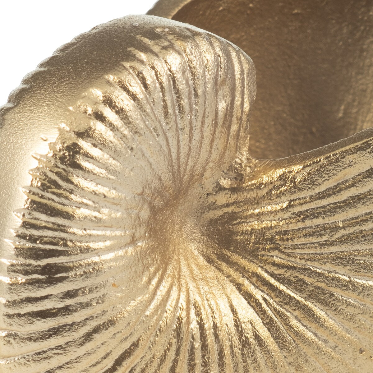 6" Metal Hollow Shell Vase Contemporary Decorative Champagne Gold Glam Coastal Ocean Beach Shell Vase for Home or