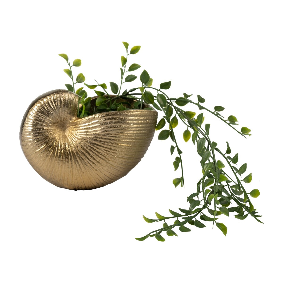 6" Metal Hollow Shell Vase Contemporary Decorative Champagne Gold Glam Coastal Ocean Beach Shell Vase for Home or