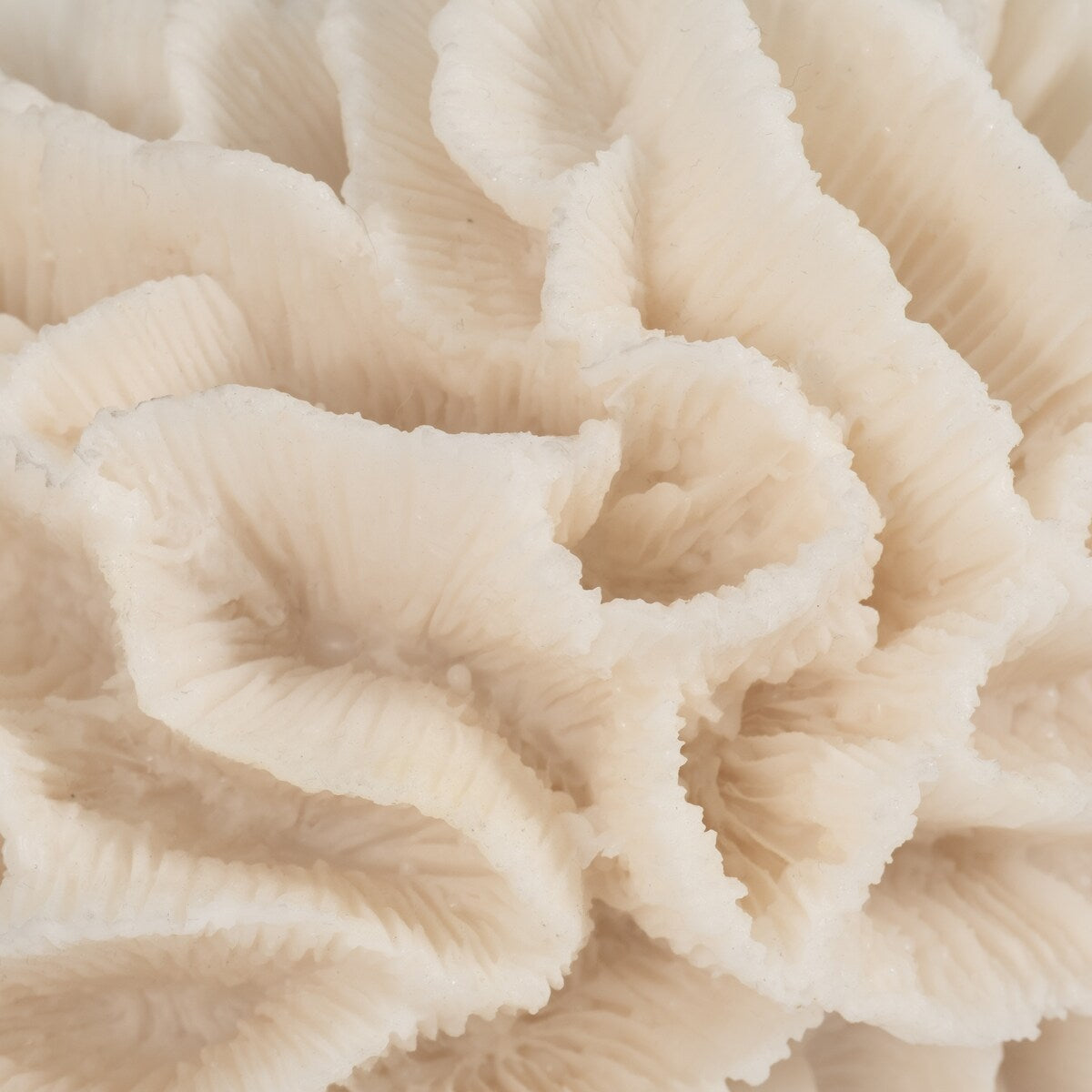 Sagebrook Home Coral Object, Ivory, Tranquil Waters